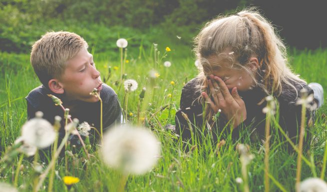 Familiefotografering søskende mælkebøtter