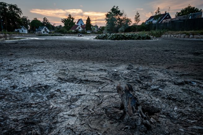Udtørret gadekær i Sengeløse