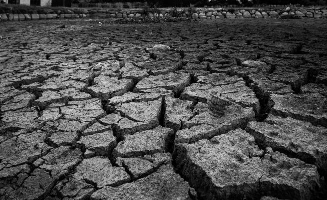 Udtørret gadekær i Sengeløse