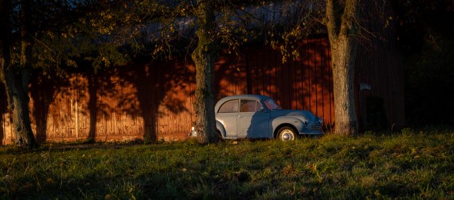 Moris minor 1000 morgen