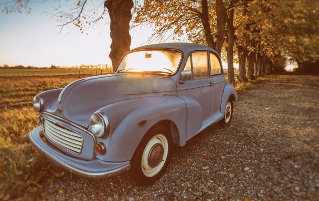 Morris 1000 morgen dug