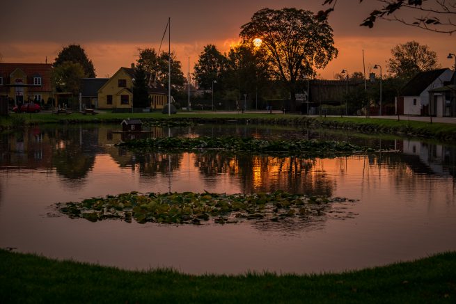 Sengeløse gadekær morgen