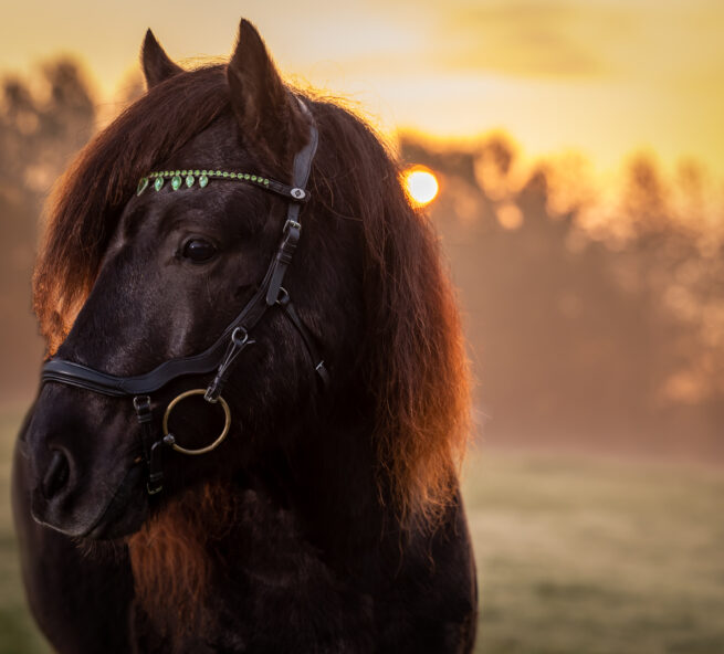 Produktfotografering